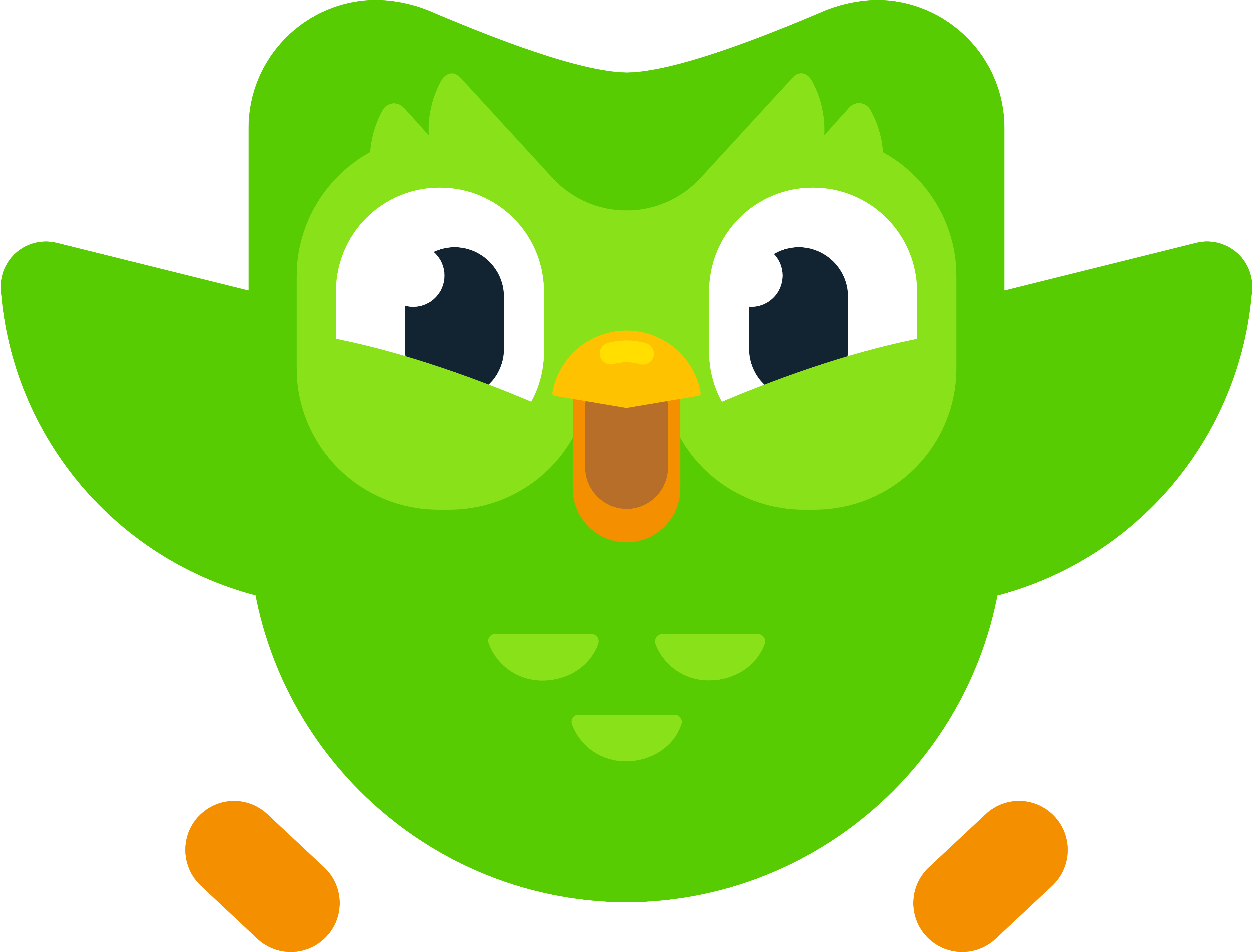 Значок Duolingo. Зеленая Сова Дуолинго. Сова из Duolingo. Duolingo герои. Зеленая сова английский